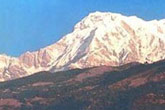 photo gallery